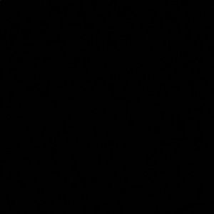 Meet your Posher, Tayler